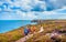 Tourists hiking at coasts of Bretagne, France