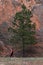 Tourists hiking in Colorado Red Rocks Open Space park