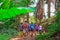 Tourists hiking in the deep jungle of the Khao Yai national park in Thailand