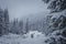 Tourists hiking in Tatra Mountain valley