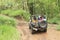 Tourists in jeep in jungle