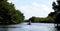 Tourists kayaking in mangrove forest in Everglades National park - Floridaa