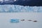 Tourists kayaking near the Perito Moreno Glacier in Argentina