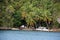 The tourists landed on the island. Dominican Republic