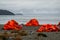 Tourists left safety jackets ashore during walking shore excursion when disembark from cruise ship `Ventus Australis`