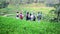 tourists looking amazing view of tegalalang rice terraces in bali