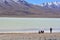 Tourists looking at a beautiful salt lake in Bolivia