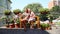 Tourists make selfie sitting on bench among flowers in pots