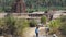 Tourists make their way along a wild trail to an ancient temple