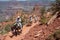 Tourists on mules on South Kaibab Trail in Grand Canyon.