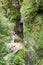 Tourists near the entrance climb to the huge Devil`s Throat cave in the Rhodope Mountains
