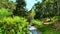 Tourists near small stream in the mountains of Upper Galilee. Israel. 4K