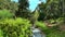 Tourists near small stream in the mountains of Upper Galilee. Israel. 4K