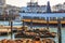 Tourists observe Sea Lions