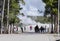 Tourists At Old Faithful