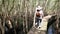 Tourists passing beautiful road through the melaleuca forest in the morning ng