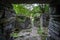 Tourists on the pathway in the middle of abandoned jungle village