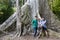 Tourists posing with big trunk tualang tree with huge roots at Taman Negara National Park, Pahang