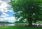 Tourists rest under huge green maple tree on Capitol Hill in Washington DC