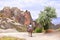 Tourists ride a camel, Pasabag Valley, Cappadocia, Turkey