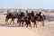 Tourists ride on camels guided by local people on horses