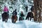 Tourists ride horses in winter forest back view