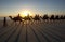 Tourists ride a team of camels along a beach in Australia.