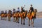 Tourists ride a team of camels along a beach in Australia.