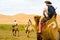 Tourists Riding Bactrian Camels Gobi Desert