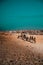 Tourists riding in a camel convoy around the great pyramids of giza. Vertical shot with buildings in the city of cairo in the