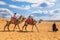 Tourists riding camels near the Pyramids of Giza