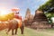 Tourists riding elephants in Ayutthaya,Thailand sunrise
