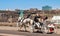 Tourists riding on a horse carriage in Niagara Falls