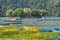 Tourists in rowboat symbol of Phewa lakeside in Pokhara.