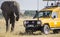 Tourists on a safari in a special vehicle watching an elephant.