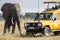 Tourists on a safari in a special vehicle watching an elephant.