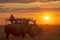 tourists in safari vehicle watching rhino at sunset