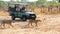 Tourists on safari watch as Two Lions walk past their safari truck in Hwange National Park.