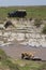 Tourists on safari watching lioness