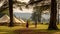 Tourists saying goodbye to safari camp, heading back after fulfilling wildlife experience