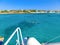 Tourists snorkeling along the coastline and enjoy the tropical island of Aruba