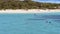 Tourists Snorkeling On The Great Barrier Reef Near Great Keppel Island