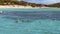 Tourists Snorkeling On The Great Barrier Reef Near Great Keppel Island