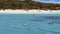 Tourists Snorkeling On The Great Barrier Reef Near Great Keppel Island