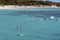 Tourists Snorkeling On The Great Barrier Reef Near Great Keppel Island