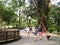 Tourists stroll inside the Singapore Botanic Gardens in Singapore.