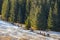 Tourists strolling on a sunny day in Tatra Mountains, Poland