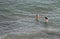 Tourists swim in the Magaluf beach in Majorca