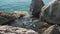 Tourists swim in the open Black Sea among the rocks on a clear sunny summer day.