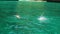 Tourists swim and snorkel in the emerald sea.